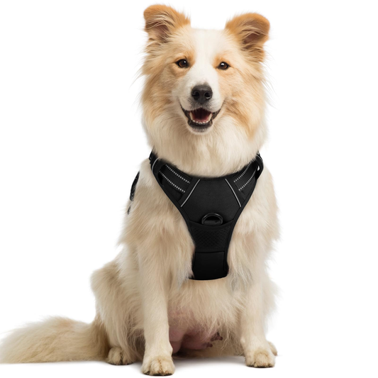 Padded Dog Harness