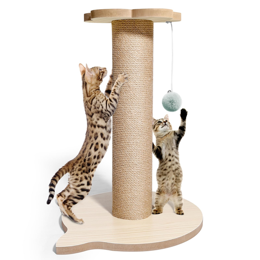 Cat Scratch Post - 18"