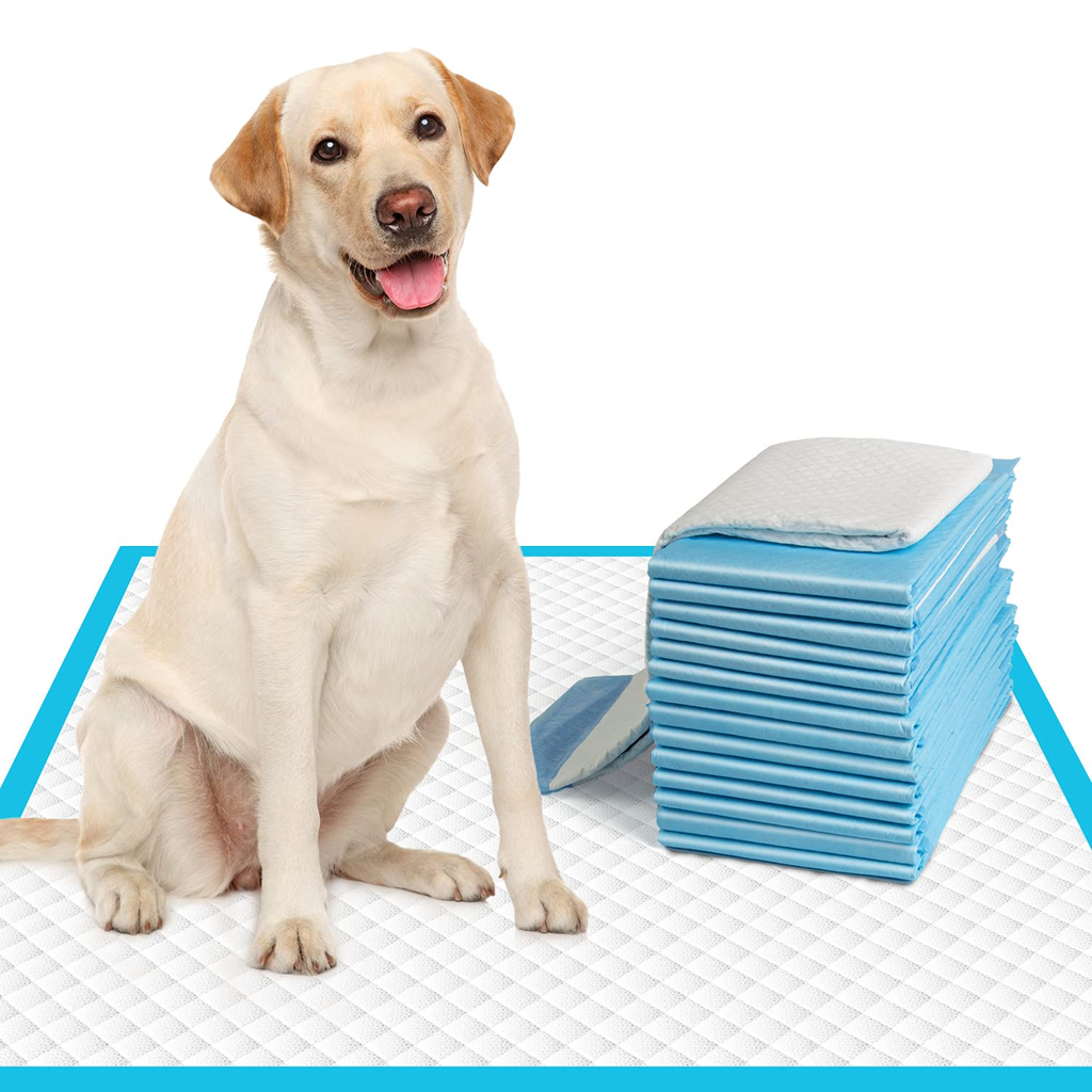 Franco Pet Care Training Pads Clear