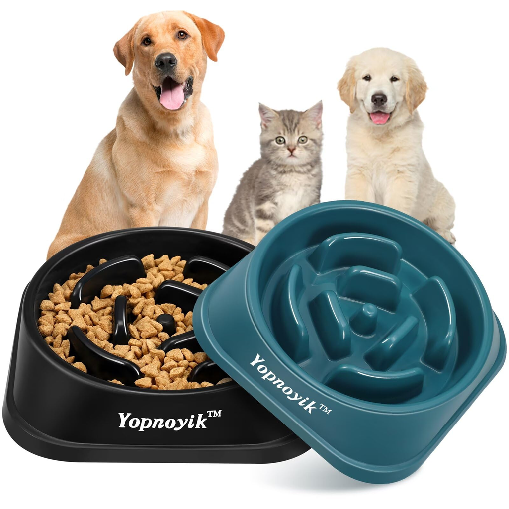 Franco Pet Care Compact Pet Bowl Assorted