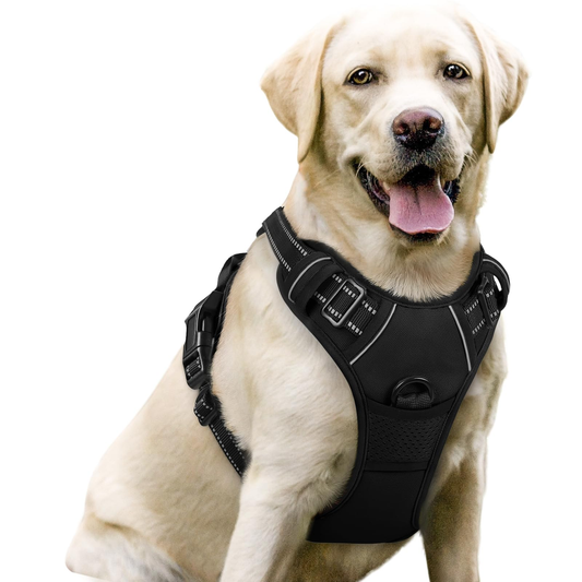 Padded Dog Harness - XS