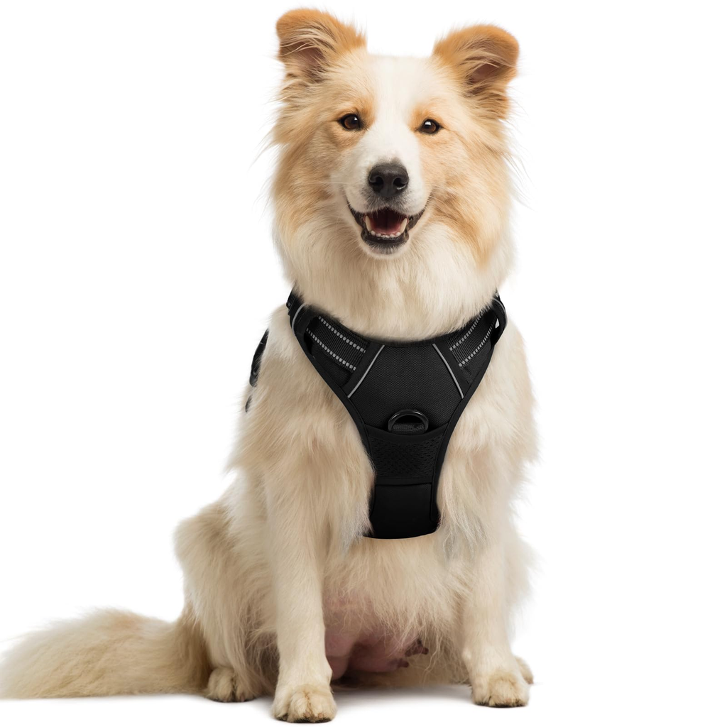 Padded Dog Harness - S