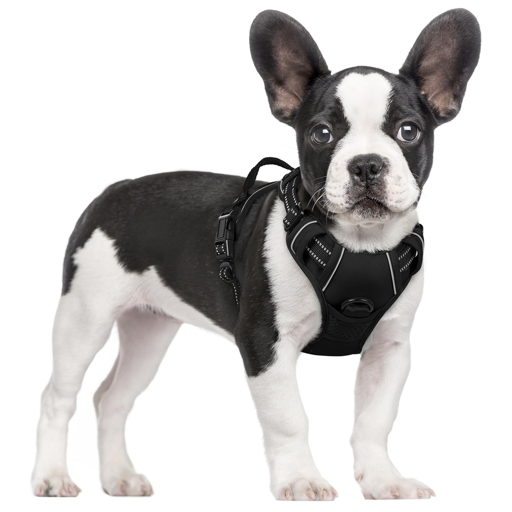 Padded Dog Harness - M