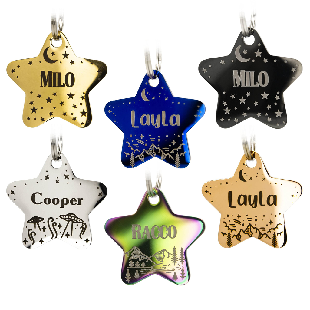 Pet ID Tag Stainless - Star