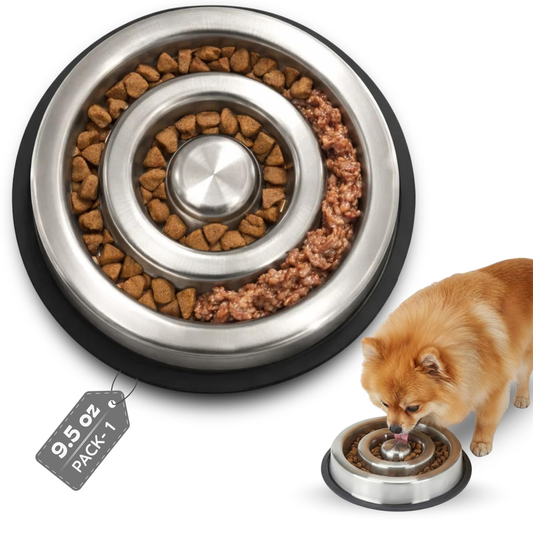 Slow-feed Dog Bowl - Spiral
