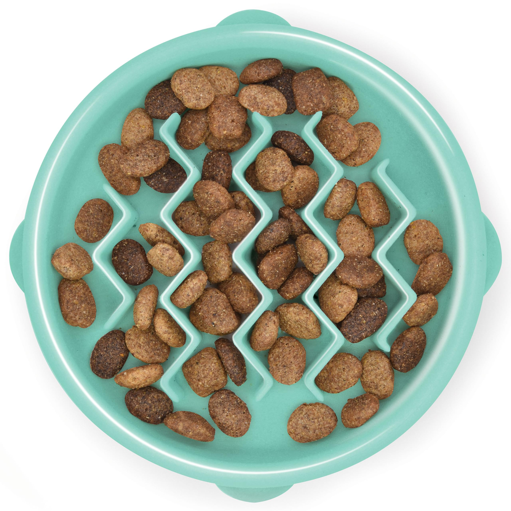 Slow-feed Dog Bowl - Wave