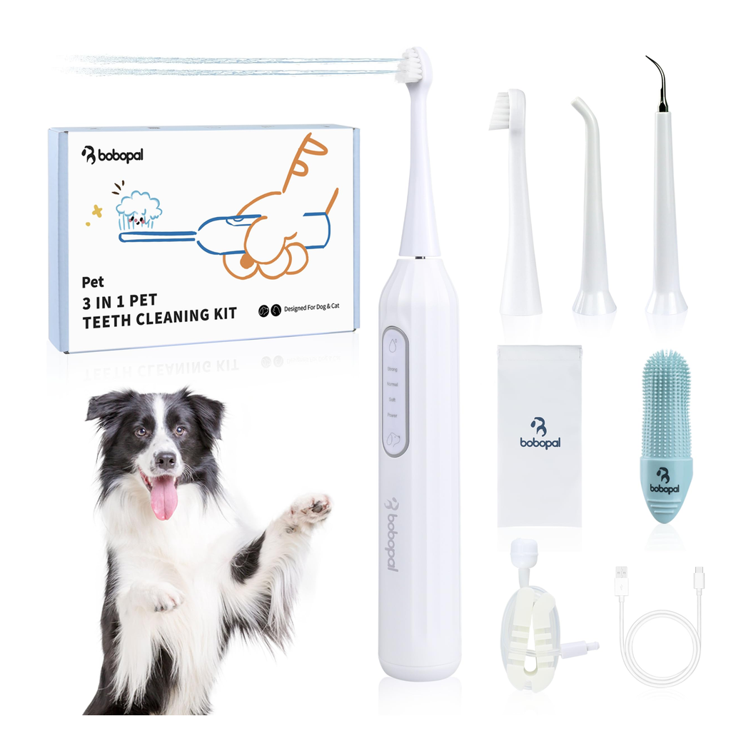 Pet Toothbrush Set Large product photo