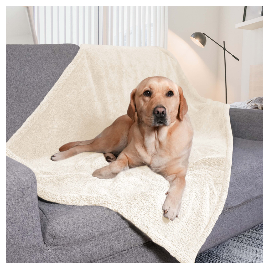 Pet Blanket Small product photo